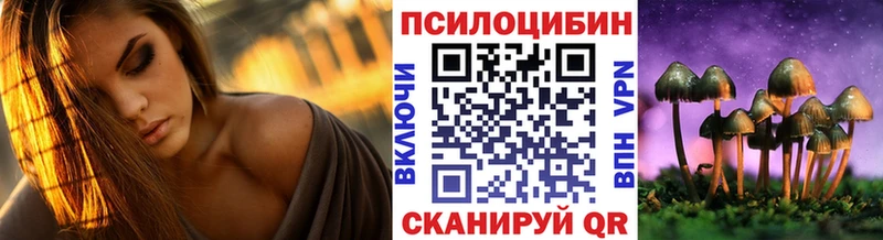 Купить где  Электрогорск  Галлюциногенные грибы Psilocybe 