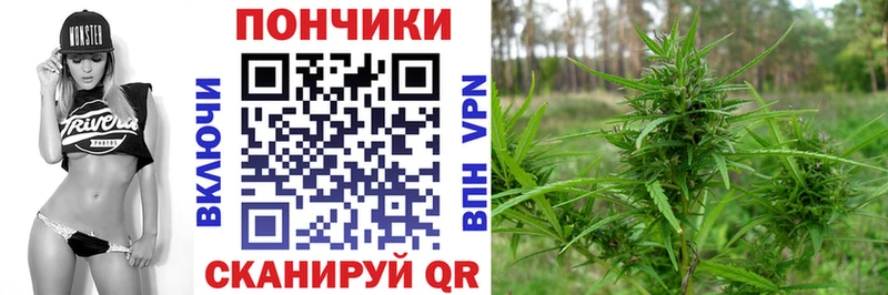 Купить где  Электрогорск  Бошки Шишки Amnesia 
